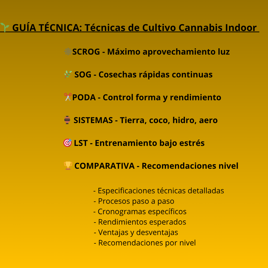 Técnica 1